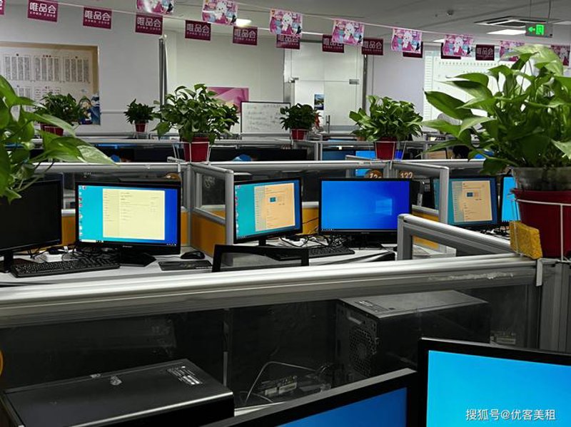 网站开发：构建数字时代的桥梁